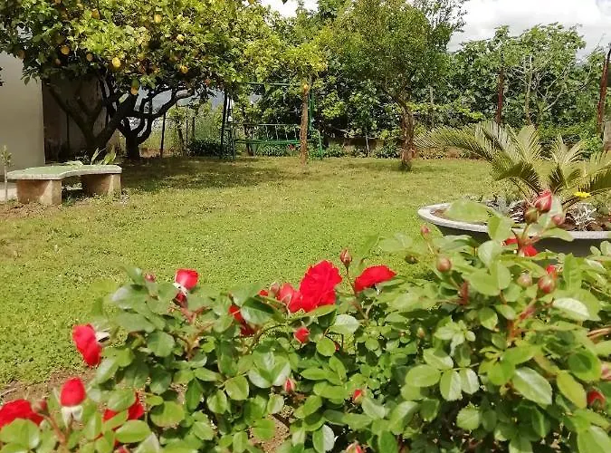 Bed & Breakfast Le Mattine Agropoli