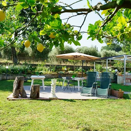 Couette-café Le Mattine 4*